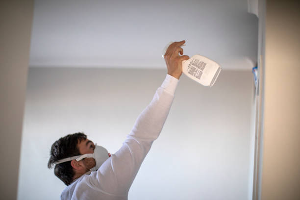 Best Mold Remediation Services  in Pottsville, AR