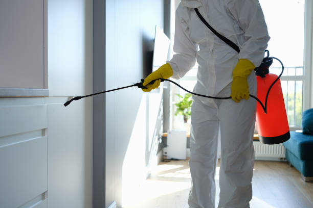Home Mold Removal in Pottsville, AR