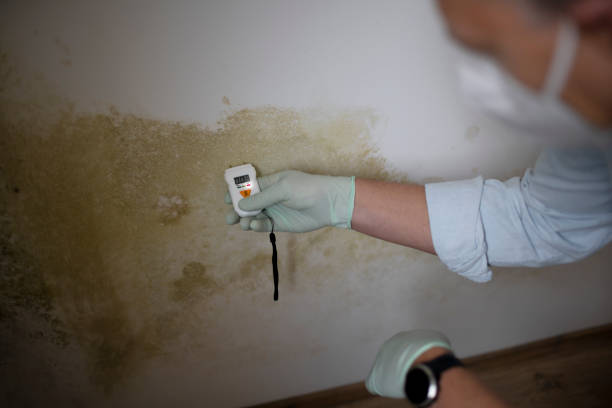Best Mold Testing  in Pottsville, AR