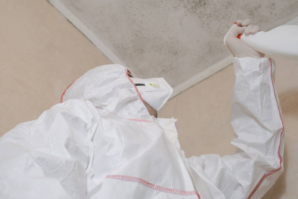 Best Professional Mold Removal  in Pottsville, AR